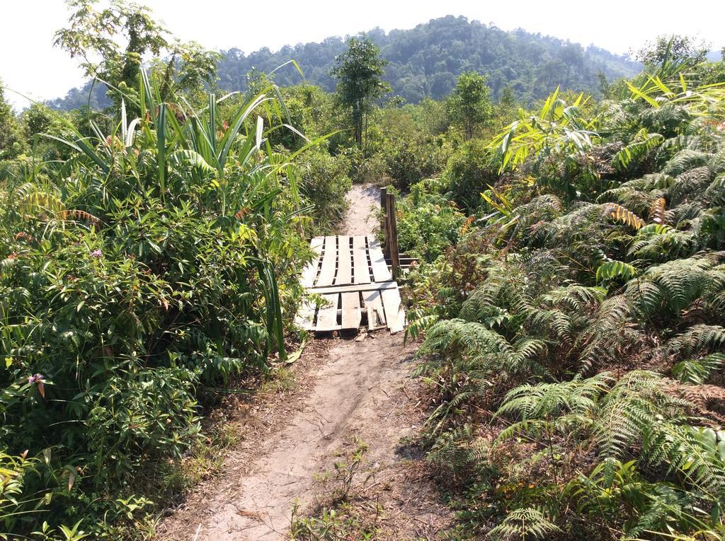 パーム ビーチ バンガロー リゾート Prek Svay Village エクステリア 写真